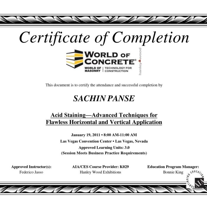 03-WE28-PANSE-SACHIN-Certificate.jpg